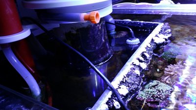 20151202_161156.JPG