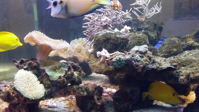 20151202_161216.JPG