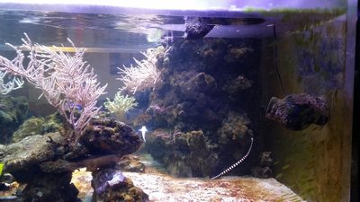 20151202_161241.JPG