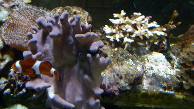 IMG-20151205-WA0005.jpg