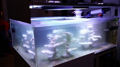 20151212_180652.JPG