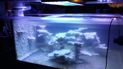 20151212_180706.JPG