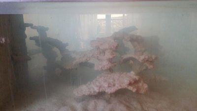 20151213_110034.JPG