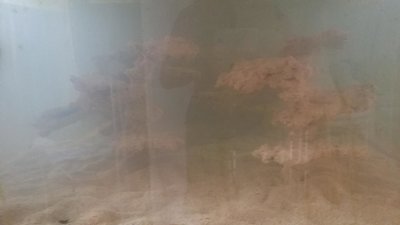 20151213_110041.JPG