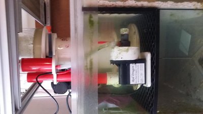 20151213_110026.JPG