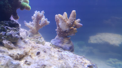 20151215_161924.jpg