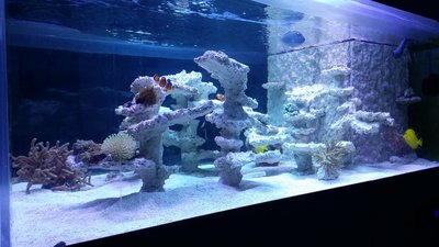 20151217_184510.JPG