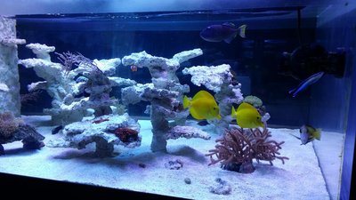 20151217_184525.JPG