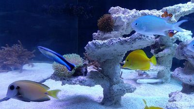20151217_184750.JPG