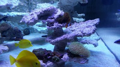 20151217_184805.JPG