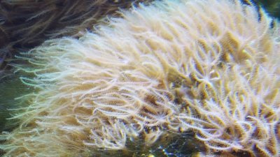IMG-20160102-WA0000[1].jpg