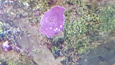 IMG-20160102-WA0001[1].jpg