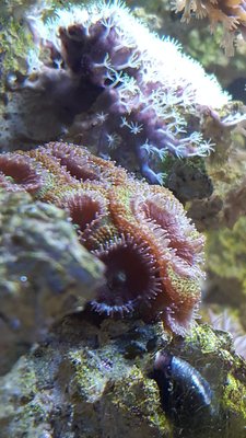 IMG-20160102-WA0002[1].jpg