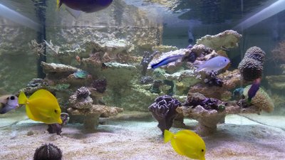 20160103_145631.JPG