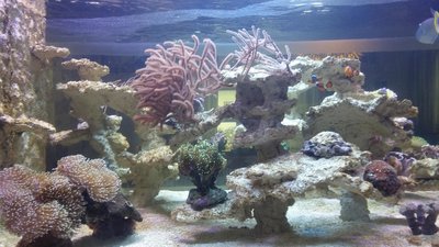 20160103_145646.JPG