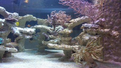 20160103_145707.JPG