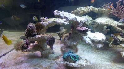 20160103_145716.JPG