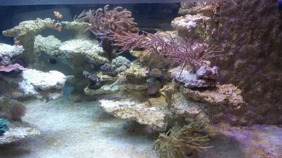 20160103_145723.JPG