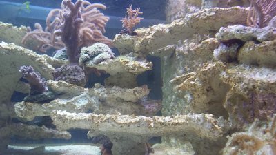 20160103_145740.JPG