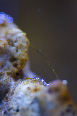 DSC_9867.jpg