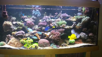 IMG-20160114-WA0001.jpg