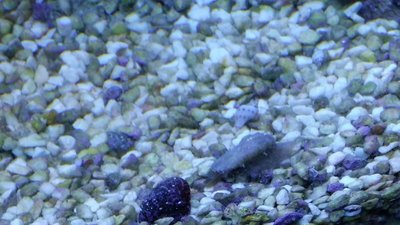 IMG-20160202-WA0004.jpg