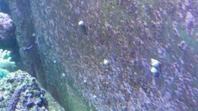 IMG-20160202-WA0003.jpg