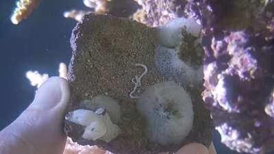 20160202_214742.jpg
