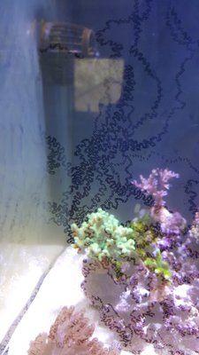 20160117_143915.jpg