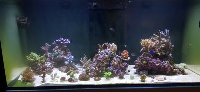 20160202_215128-1.jpg