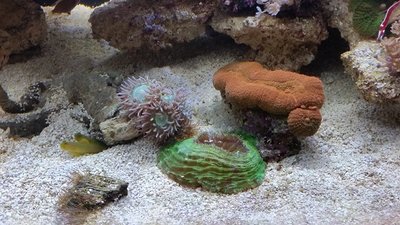 20160207_125053.jpg