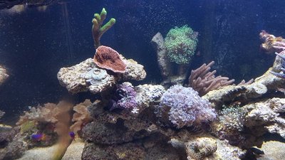 20160207_125809.jpg