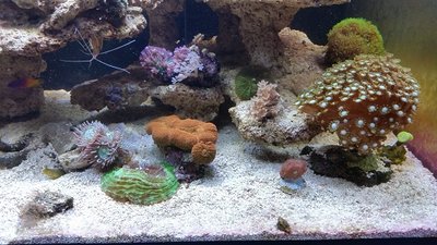 20160207_125839.jpg