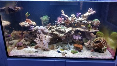 2016-02-11 18.27.21.jpg