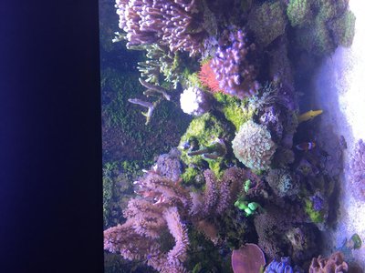 K1600_IMG_1127.JPG
