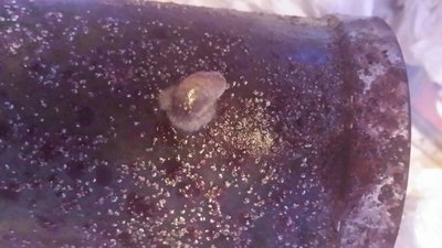 IMG-20160220-WA0005.jpg