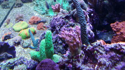 IMG-20160221-WA0012.jpg