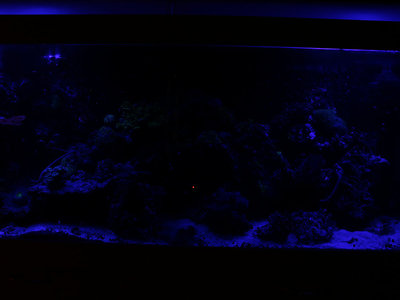 blue_5sek_iso200.JPG