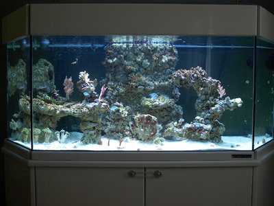 ov_p2237072.jpg