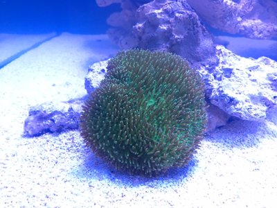 IMG_0493.JPG