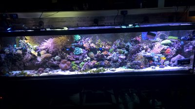 WP_20160113_18_14_26_Pro.jpg