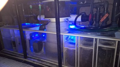 WP_20160225_10_20_27_Pro.jpg