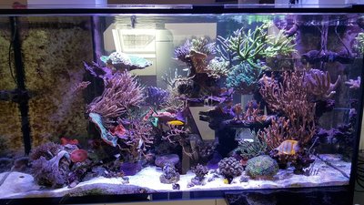 20160228_131219.jpg