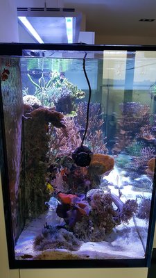 20160228_131236.jpg
