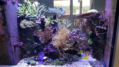 20160228_131250.jpg