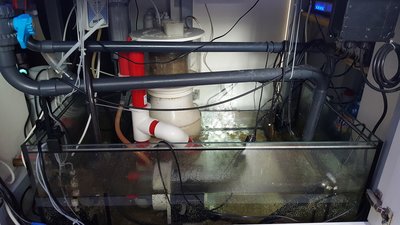20160228_154149.jpg
