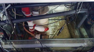 20160228_154140.jpg