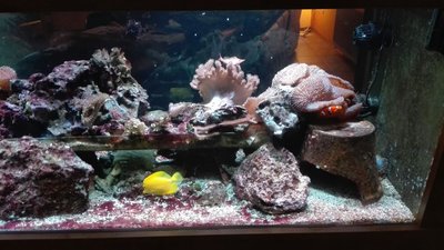 IMG-20160301-WA0020.jpg
