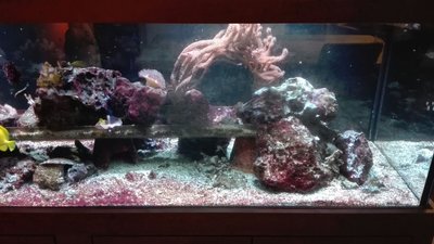 IMG-20160301-WA0018.jpg
