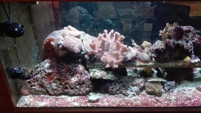 IMG-20160301-WA0017.jpg